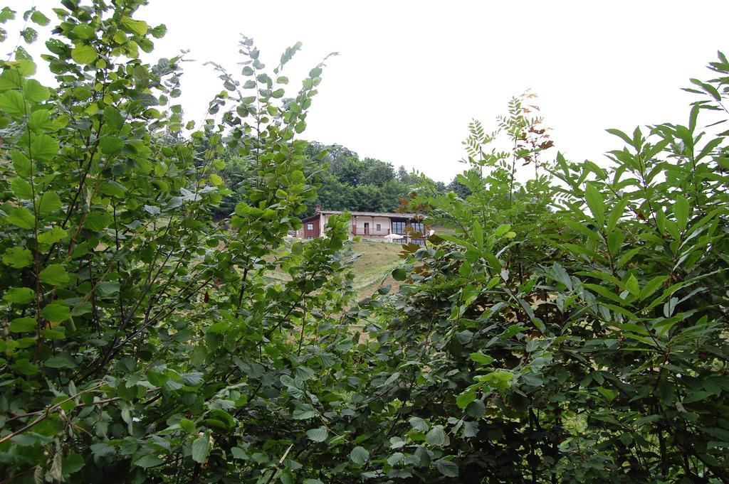 Sere Di Sosta Bagnolo Piemonte ภายนอก รูปภาพ